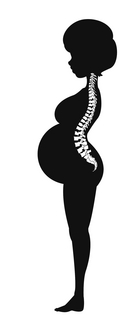 chiropractor brooklyn ny